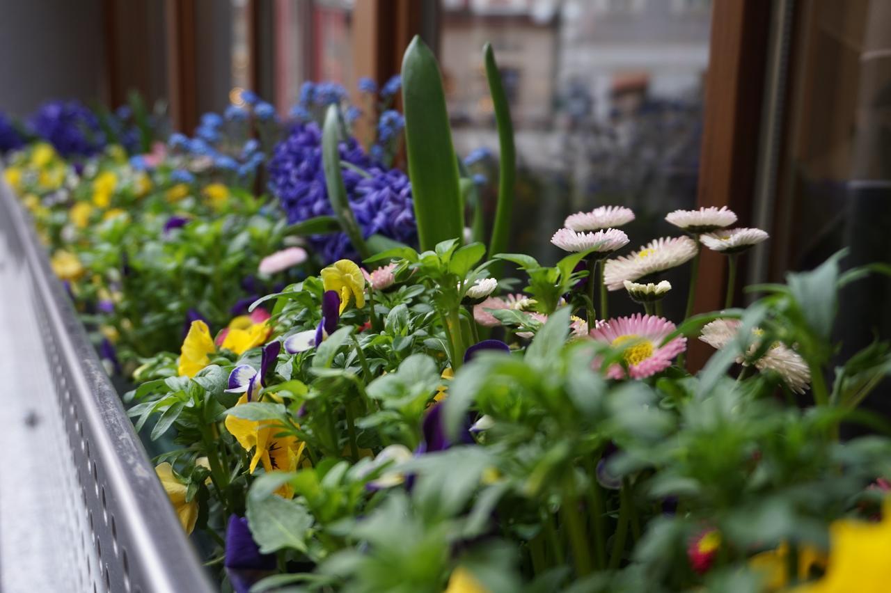 Jugendgaestehaus Bad Ischl Esterno foto